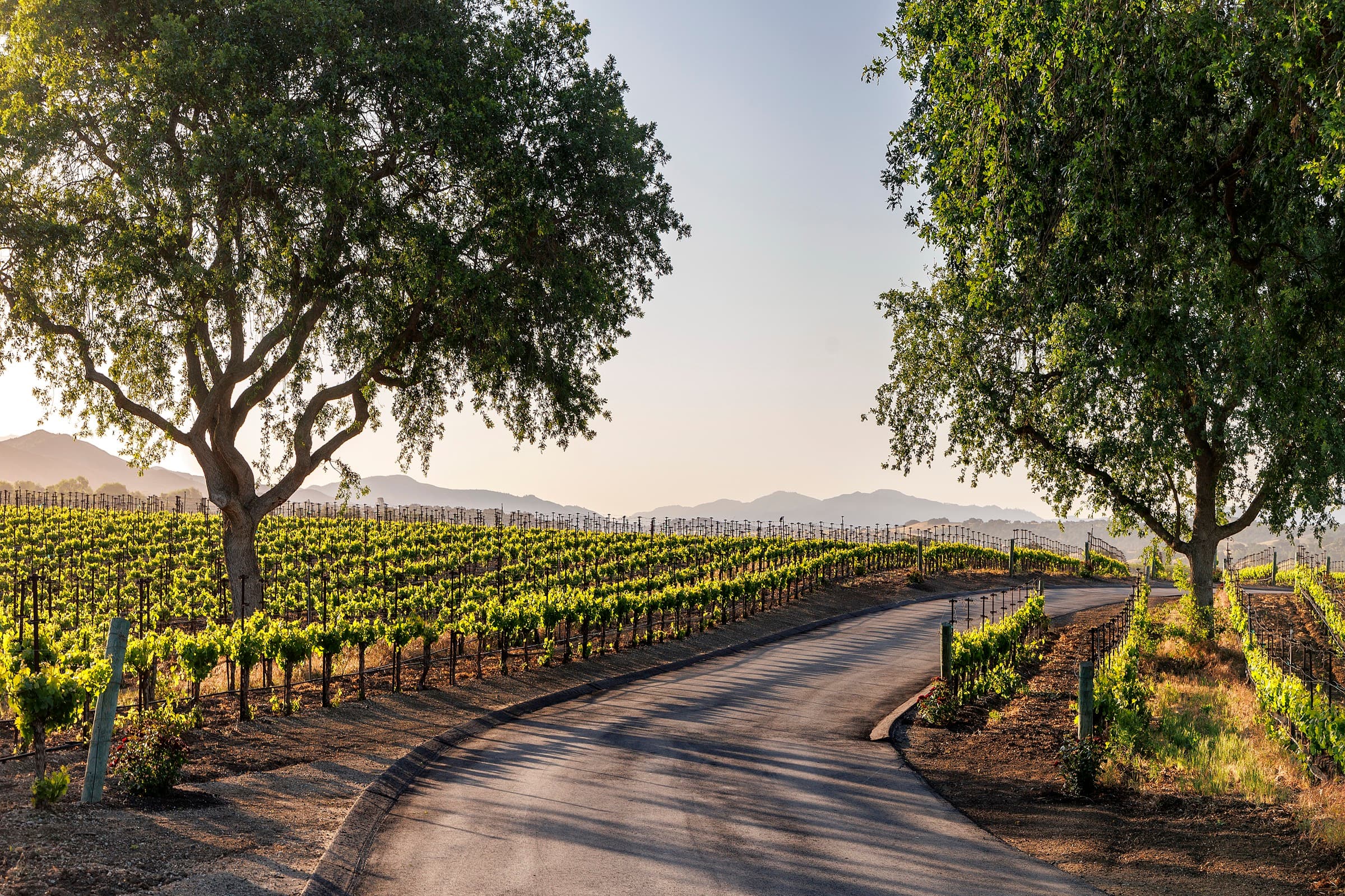 1620 Westerly Road, Santa Ynez — photo 38