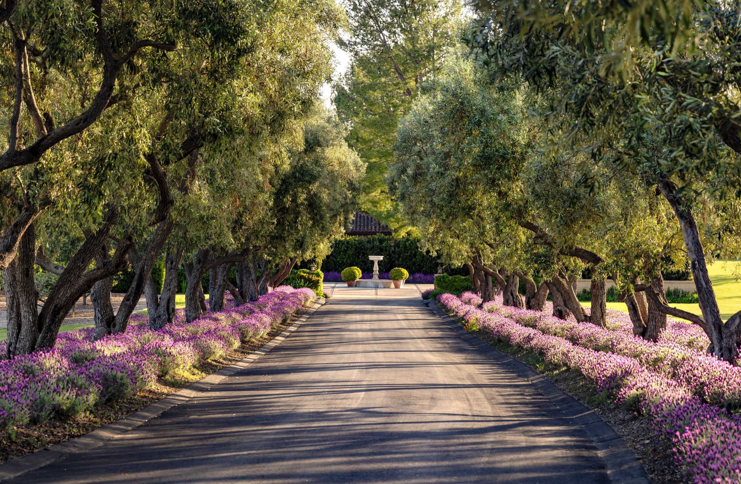 1620 Westerly Road, Santa Ynez, photo 3