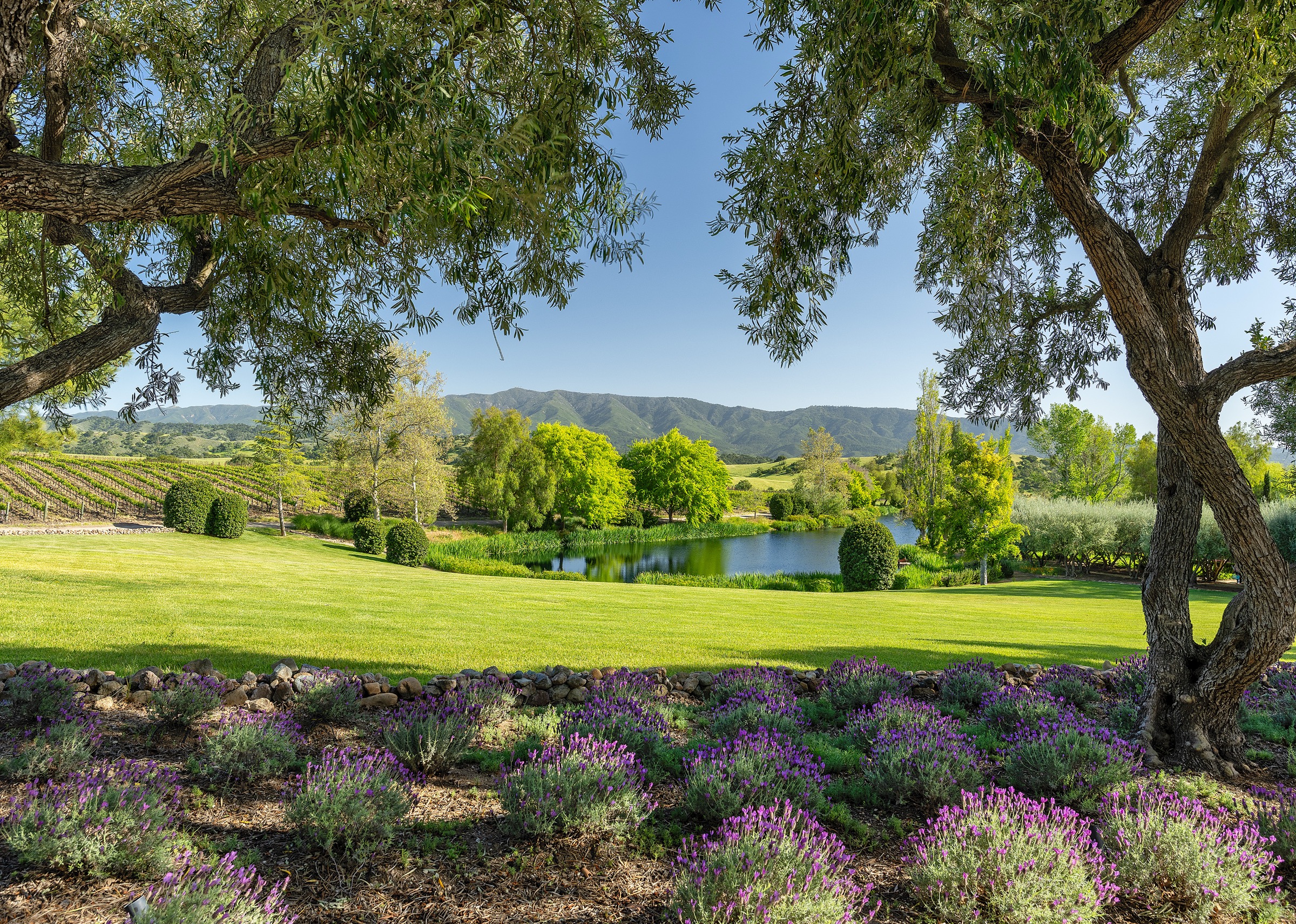 1620 Westerly Road, Santa Ynez, photo 9