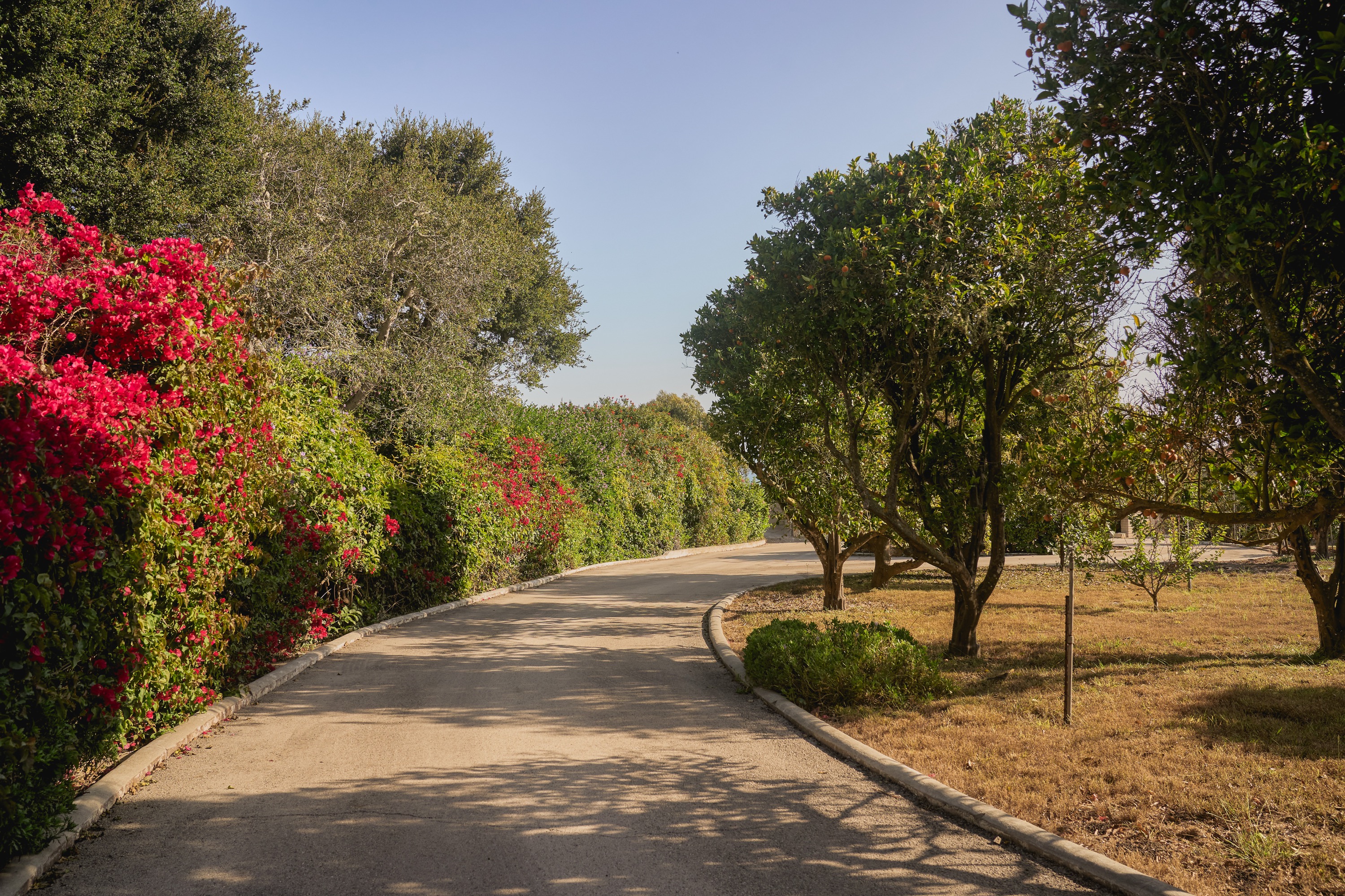 4121 Creciente Drive, Hope Ranch, photo 33