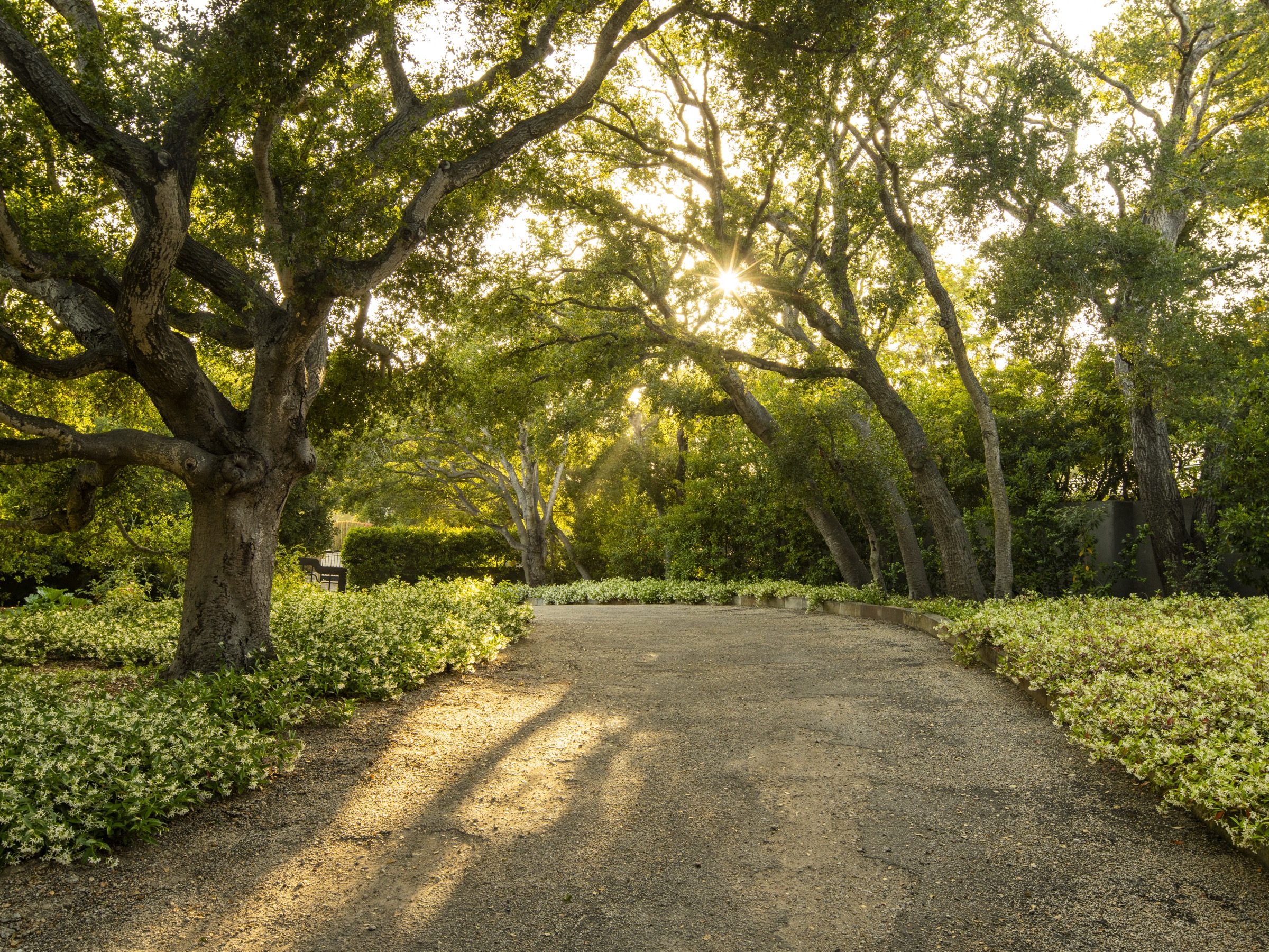 650 San Ysidro Road, Montecito, photo 43